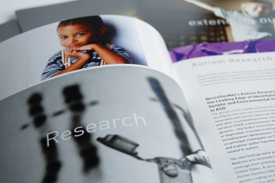 bay6 creative photo showing page layouts designed for an annual report